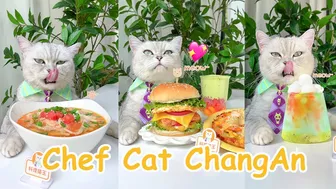 Cute Cat Cooking :Chef Cat ChangAn Yummy Recipe Compilation???? | Cat Cooking Food TikTok#CuteCatVideo