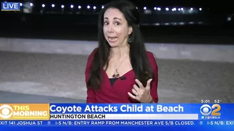 Girl attacked by coyote near Huntington Beach Pier