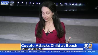 Girl attacked by coyote near Huntington Beach Pier