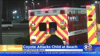 Girl attacked by coyote near Huntington Beach Pier