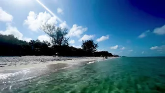 The Beach in North Naples, Florida - A Tropical Paradise!