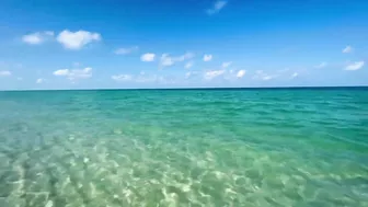 The Beach in North Naples, Florida - A Tropical Paradise!