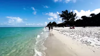 The Beach in North Naples, Florida - A Tropical Paradise!