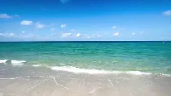 The Beach in North Naples, Florida - A Tropical Paradise!