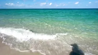 The Beach in North Naples, Florida - A Tropical Paradise!