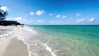 The Beach in North Naples, Florida - A Tropical Paradise!