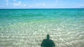 The Beach in North Naples, Florida - A Tropical Paradise!