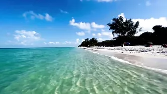 The Beach in North Naples, Florida - A Tropical Paradise!