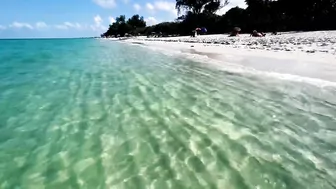 The Beach in North Naples, Florida - A Tropical Paradise!