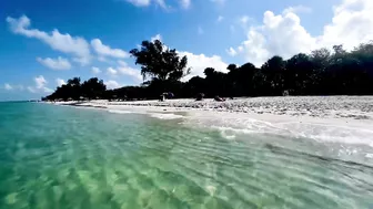 The Beach in North Naples, Florida - A Tropical Paradise!