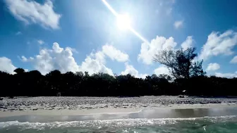 The Beach in North Naples, Florida - A Tropical Paradise!