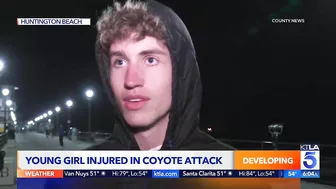 Coyote attacks girl in Huntington Beach: Police