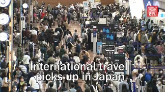 International travel picks up in Japan