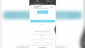 Instagram Story and video download