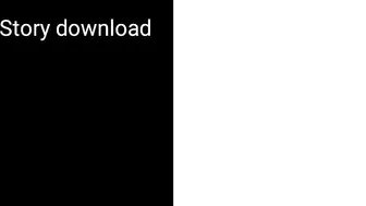 Instagram Story and video download