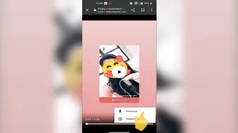 Instagram Story and video download