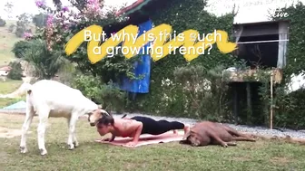 The Benefits of Doing Yoga with Your Pet