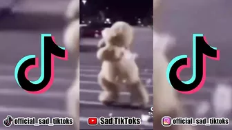 Sad TikTok Compilation #040 that will break your heart???????? Part 3