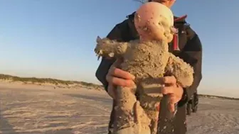 Creepy dolls washing up on Texas beach