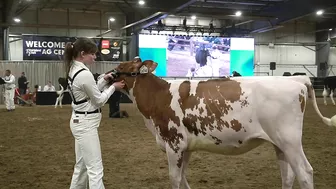 A Dairy on the Prairie Trailer!