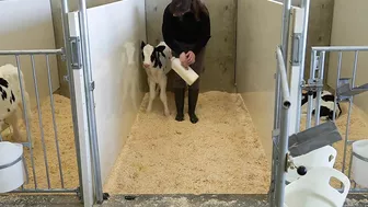 A Dairy on the Prairie Trailer!