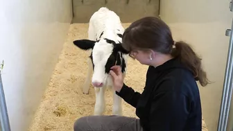 A Dairy on the Prairie Trailer!