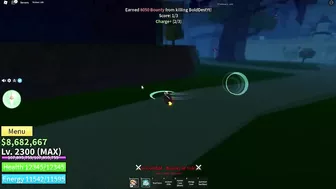 I used aimbot in Bloxfruits