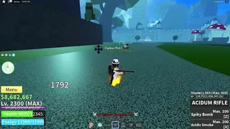 I used aimbot in Bloxfruits