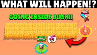 How We Will See Janet with Our POV inside Bushes!? | Brawl Stars #Stuntshow