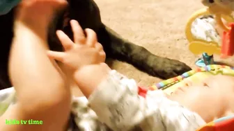 Funny Babies And Dogs Playing Compilation Funny Pitbull And Baby Videos#2