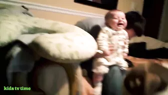 Funny Babies And Dogs Playing Compilation Funny Pitbull And Baby Videos#2