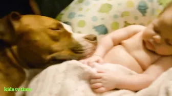 Funny Babies And Dogs Playing Compilation Funny Pitbull And Baby Videos#2