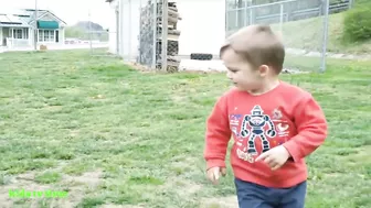 Funny Babies And Dogs Playing Compilation Funny Pitbull And Baby Videos#2