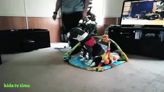 Funny Babies And Dogs Playing Compilation Funny Pitbull And Baby Videos#2