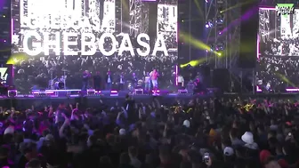 GHEBOASA - CAGULAT (LIVE @ BEACH, PLEASE! FESTIVAL)