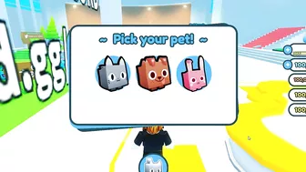 OMG??? Please!! Check the new update of the Small Games | Pet Simulator Z