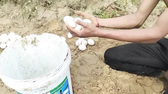 amazing fishing! lots of eggs found on stream side