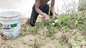 amazing fishing! lots of eggs found on stream side