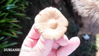 This instagram model gave me mushrooms and look what happened