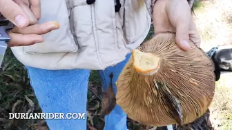 This instagram model gave me mushrooms and look what happened