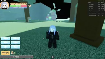 Who Made this Roblox One Piece Game? (2022)