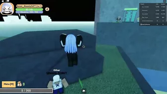 Who Made this Roblox One Piece Game? (2022)