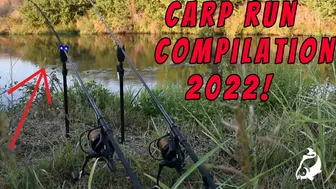 STRONG Carp Run COMPILATION 2022! PART 43!