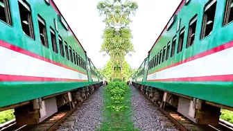 Funny Train - Shark Headed Nilsagor Express High Speed Train vs Lion headed Train - Train Simulator