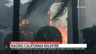 Wildfire near Laguna Beach destroys more than 20 homes