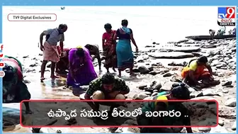 బీచ్‌లో బంగారం దొరుకుతుందట..| Gold Coming Out From Sea at Uppada Beach - TV9 Digital