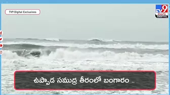 బీచ్‌లో బంగారం దొరుకుతుందట..| Gold Coming Out From Sea at Uppada Beach - TV9 Digital