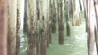 'Hate to see this go': Longtime Virginia Beach Fishing Pier owner reflects after sale