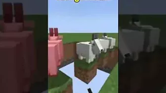 Minecraft Perfect Loop #Minecraft #Loop #Shorts #Perfect #Viral #TikTok #Recommended #RespawnAnchor