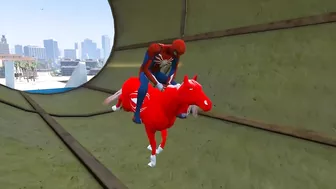 Spiderman and Spider Horse, Parkour Challenge on Spider Balls - Funny Animation